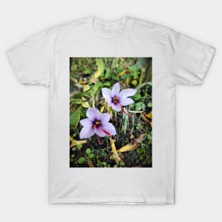 Saffron flowers T-Shirt